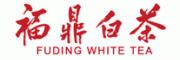 福鼎白茶
