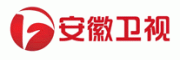 安徽卫视