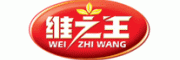 维之王