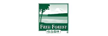 自由森林freeforest