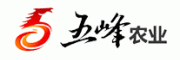 五峰