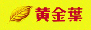 黄金叶