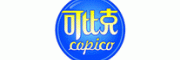 可比克copico