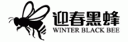 迎春黑蜂
