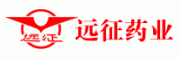 远征