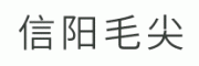 信阳毛尖