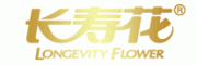长寿花