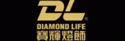 宝辉DL