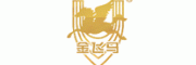 金飞马