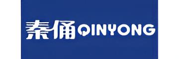 秦俑QINYONG