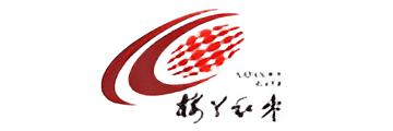 楼兰红枣